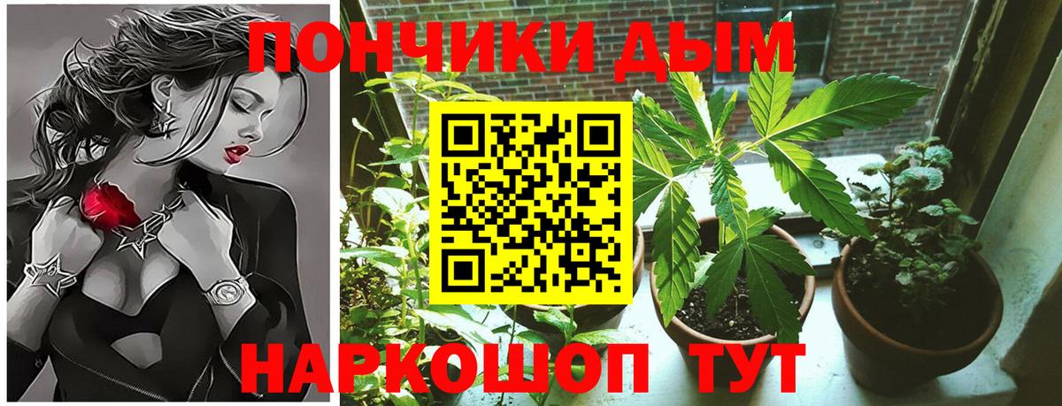 Краснознаменск  Марихуана конопля  Шишки марихуана конопля  Шишки марихуана семена  Вход с VPN 